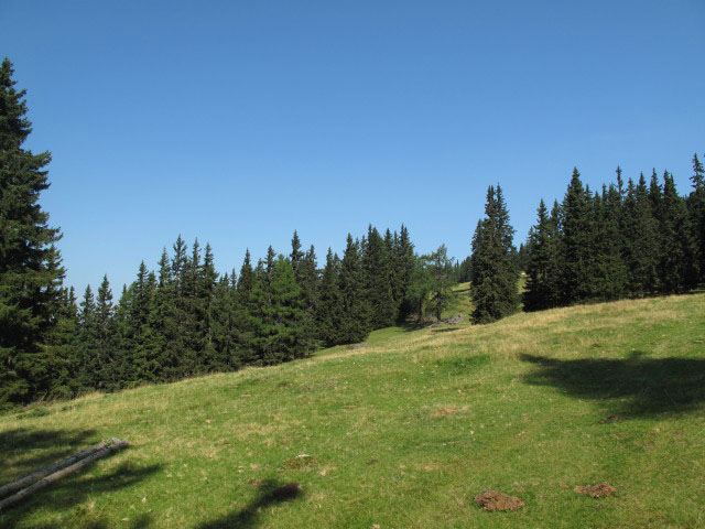 zwischen Wernischalm und Kreuzb&uuml;hel