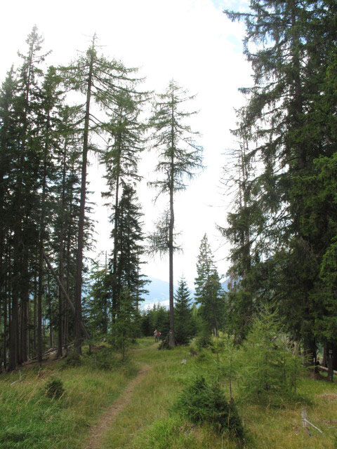 Ruperti-Weitwanderweg zwischen Peloschen und Zihagas