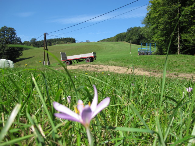 von der Steinrieglstra&szlig;e Richtung Nordwesten