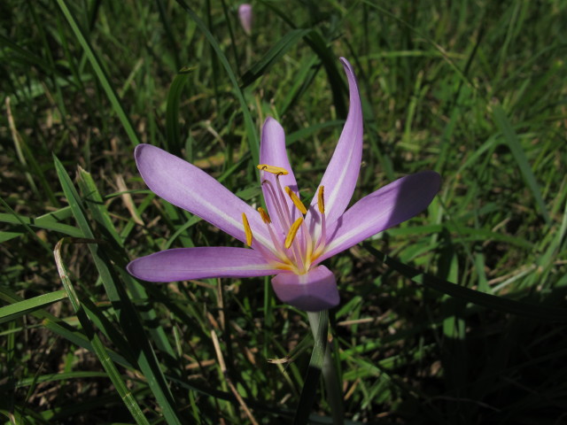 neben der Steinrieglstra&szlig;e