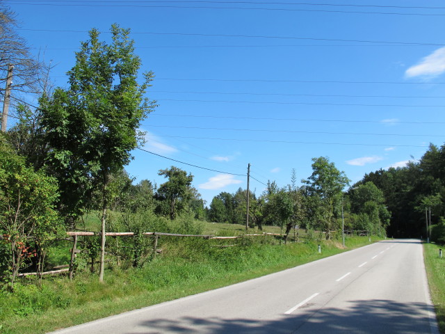 Weidlingbachstra&szlig;e