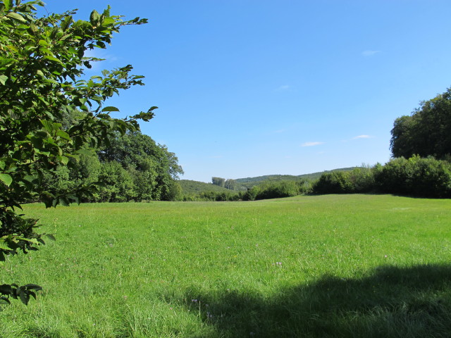 bei der Mosenh&uuml;tte