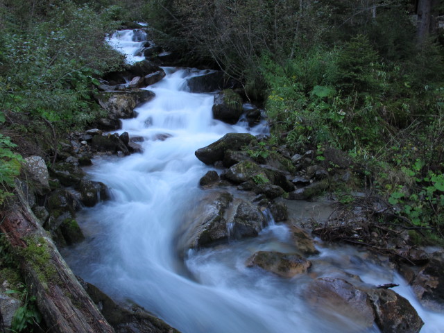 Gungglbach zwischen Gungglalm und Teufelsm&uuml;hle (8. Sep.)
