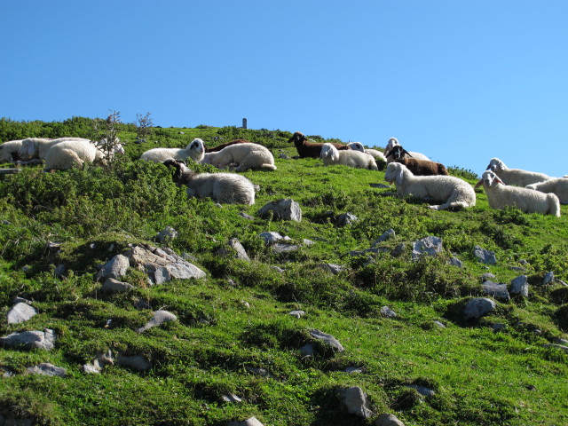 Weg 408 zwischen Schlossh&uuml;ttensattel und Poludnig (15. Sep.)