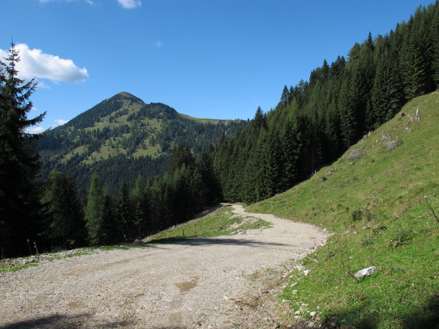 K&auml;rntner Grenzweg zwischen Vorderberger Wildbach und G&ouml;rtschacher Alm (15. Sep.)