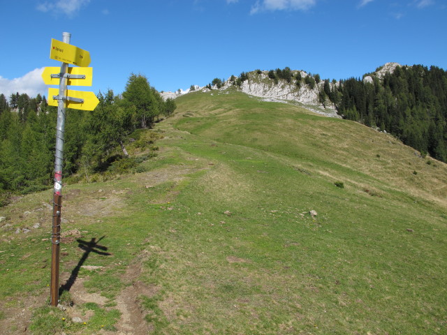 Starhand vom K&auml;rntner Grenzweg aus (15. Sep.)