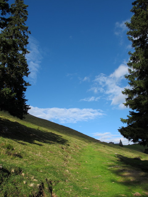 K&auml;rntner Grenzweg zwischen Lomsattel und Feistritzer Alm (15. Sep.)