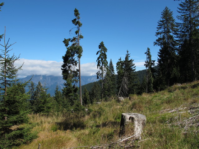 K&auml;rntner Grenzweg zwischen Ochsenstand und Kapinberg (16. Sep.)