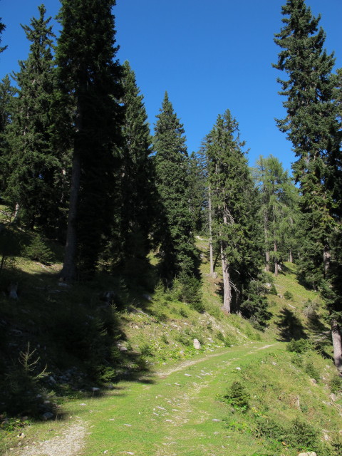 Kärntner Grenzweg zwischen Kapinberg und Göriacher Alm (16. Sep.)