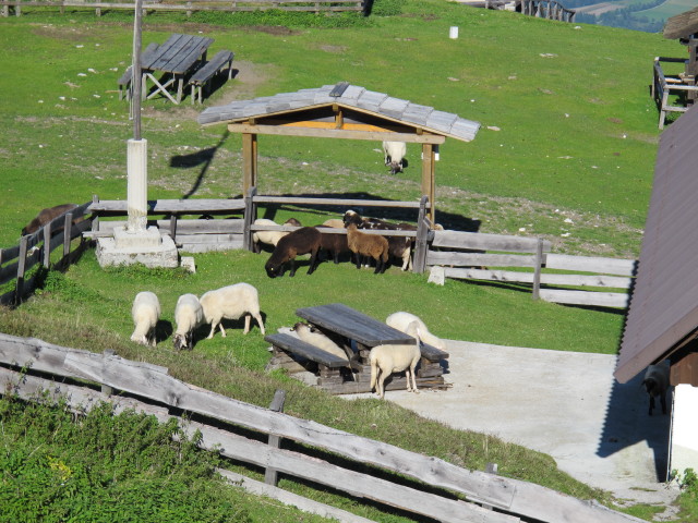 G&ouml;riacher Alm, 1.644 m (16. Sep.)