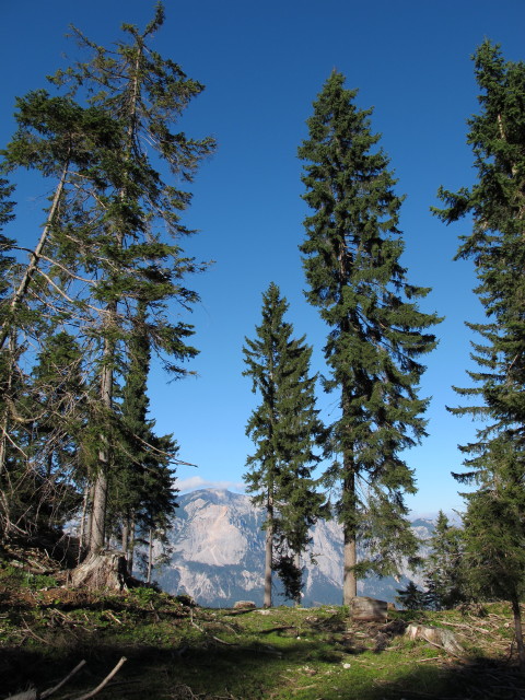 K&auml;rntner Grenzweg zwischen Kapin und Oberth&ouml;rl (16. Sep.)