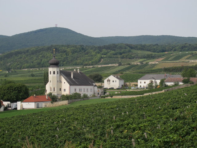 Freigut Thallern vom Bahnhof Guntramsdorf-Thallern aus
