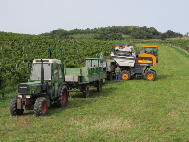 zwischen Bahnhof Guntramsdorf-Thallern und Eichkogel