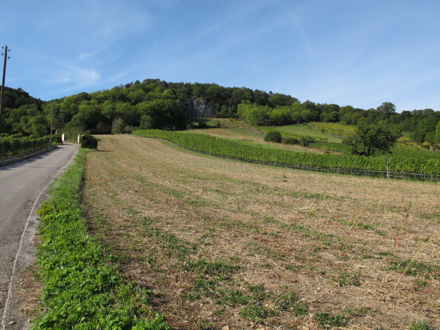 zwischen Deutschordenschloss Gumpoldskirchen und Klettergarten am Himmelreich