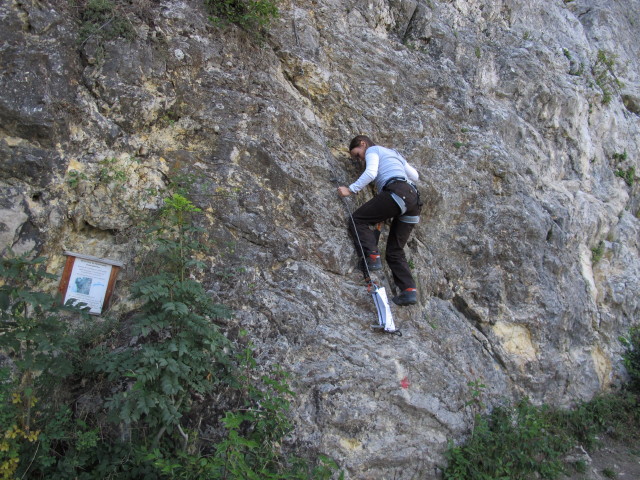 Gumpoldskirchner Klettersteig: Diana im Ausstieg