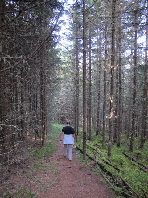 Mama am Sellraintaler H&ouml;henweg zwischen Meils und Paswies
