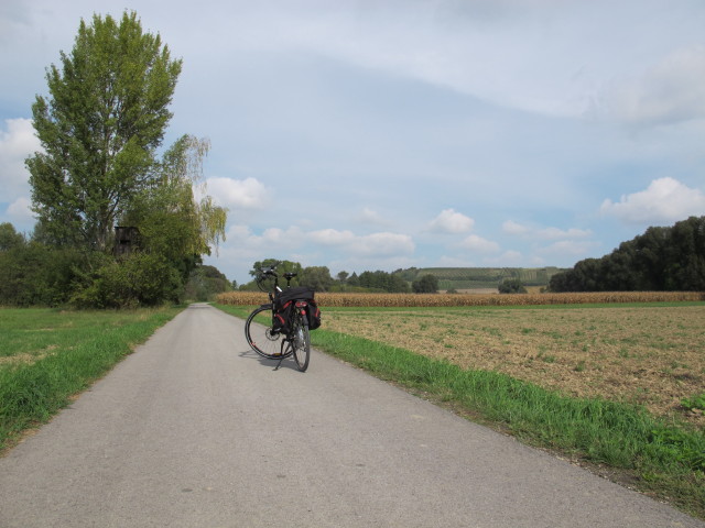 zwischen Ulrichskirchen und Schleinbach