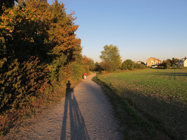 Marchfeldkanal-Radweg in Gro&szlig;-Jedlersdorf