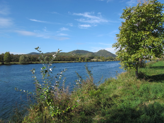 Neue Donau zwischen Nordbr&uuml;cke und Jedleseer Br&uuml;cke