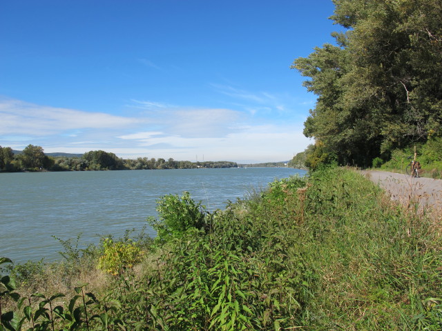 Donau bei Langenzersdorf