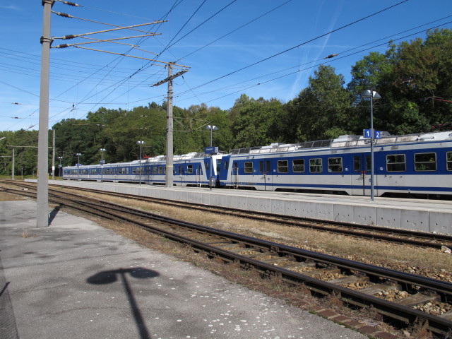 S 22532 im Bahnhof Sierndorf, 190 m