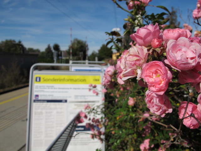 Haltestelle H&ouml;bersdorf, 191 m