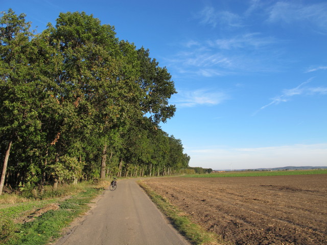 zwischen Hetzmannsdorf und Grund