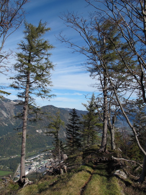 Weg 210 zwischen Frauenweißenbach und Bromberg