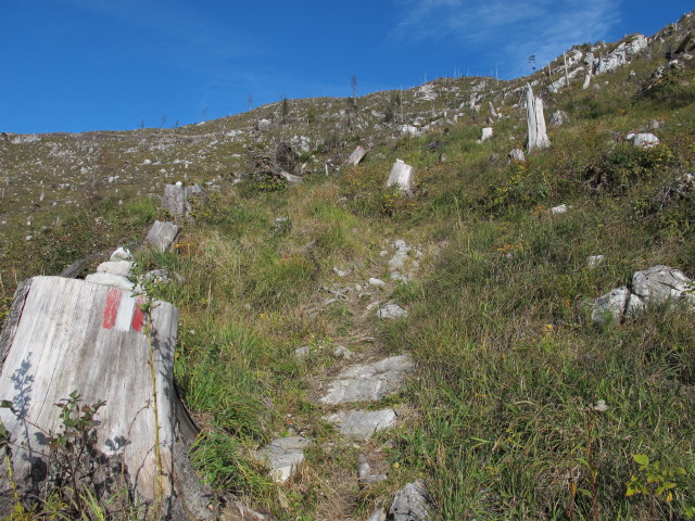 Weg 210 zwischen Kotalm und Möselwiesen
