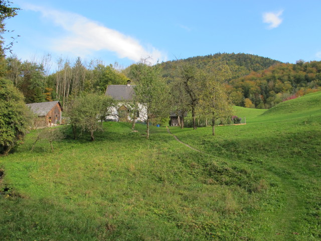 Weg 210 zwischen Möselwiesen und Rettenbach