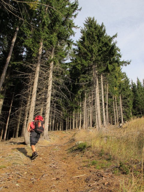 Gudrun zwischen Prein und B&auml;renriegel
