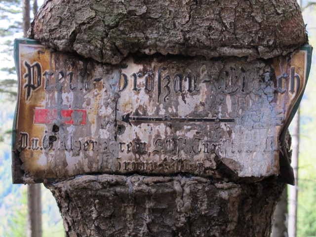 zwischen B&auml;renriegel und Bachingerbr&uuml;ndl