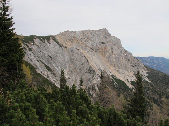 Preiner Wand vom G&ouml;bl-K&uuml;hn-Steig aus