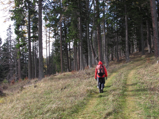 Gudrun zwischen Alpleck und Alpenfreundeh&uuml;tte