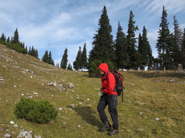 Gudrun zwischen Alpleck und Alpenfreundeh&uuml;tte