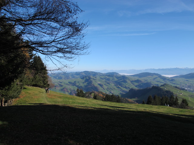 zwischen Ochsenh&ouml;hi und Hundwiler H&ouml;hi