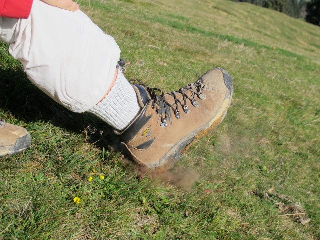 Romy zwischen Ochsenh&ouml;hi und Hundwiler H&ouml;hi