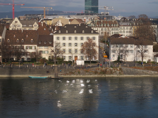 Rhein vom Münster aus