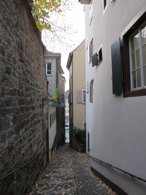 Martinsg&auml;sslein