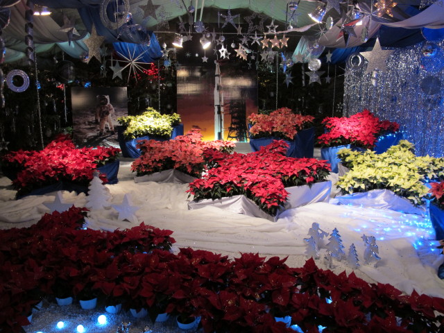 Weihnachtsausstellung und Adventmarkt in den Blumeng&auml;rten Hirschstetten