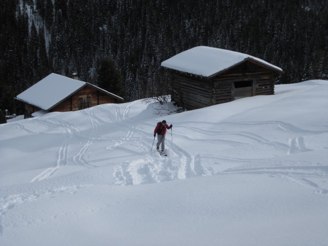 Erhard zwischen H&uuml;hnlasten und Tagetlahnalm