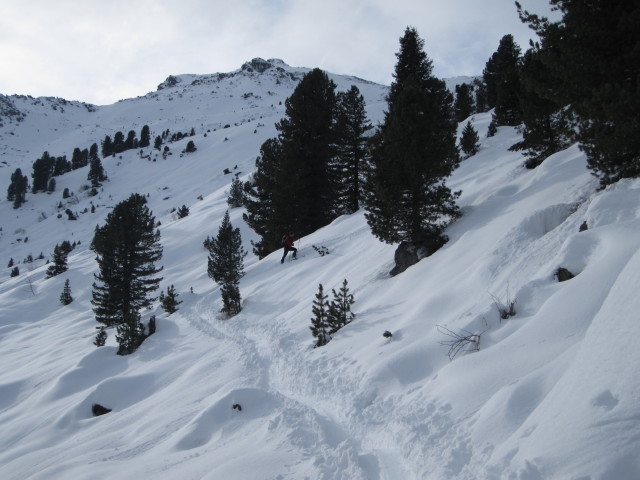 Axel zwischen Tagetlahnalm und Wildofen