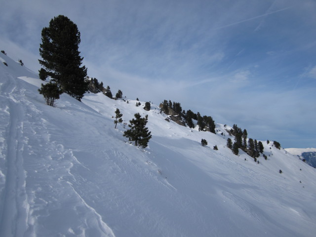 zwischen Tagetlahnalm und Wildofen