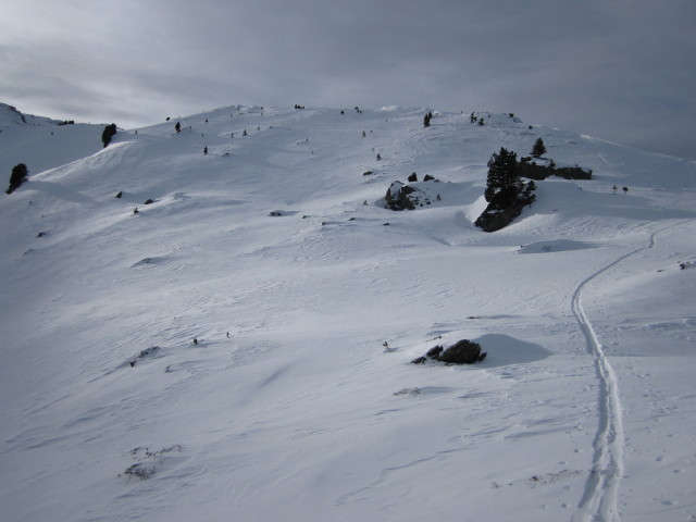zwischen Tagetlahnalm und Wildofen