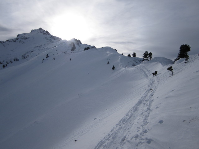 zwischen Tagetlahnalm und Wildofen