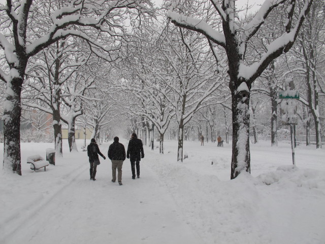 Sabrina, Patrick und Wolfgang in der Hauptallee (17. J&auml;n.)