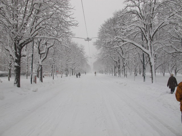 Hauptallee (17. J&auml;n.)