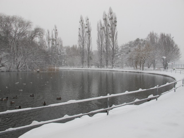 Laternenweg (17. J&auml;n.)