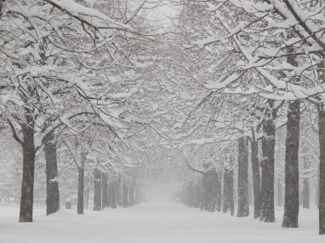 Hauptallee (17. J&auml;n.)