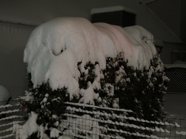 S&uuml;&szlig;enbrunner Platz 12 (17. J&auml;n.)